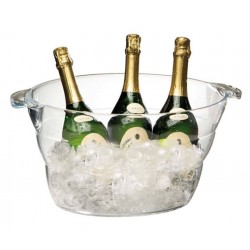 Wijnkoeler/Champagne bowl transparant